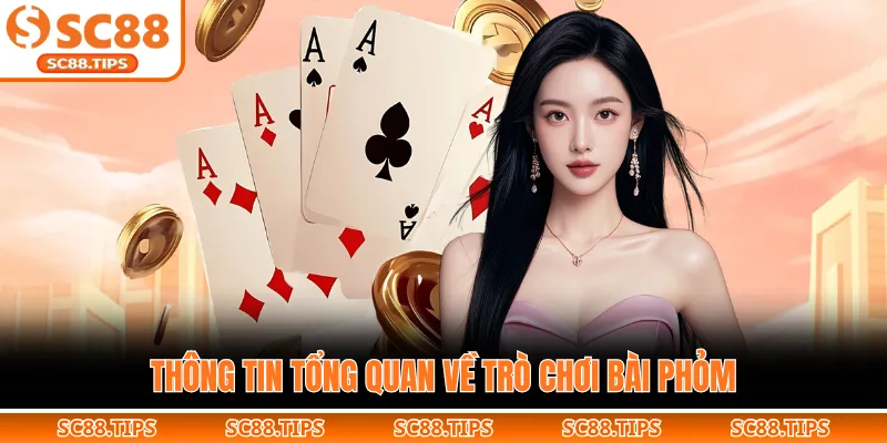 Thông tin tổng quan về trò chơi bài phỏm